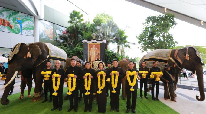 เดอะมอลล์ช้าง1