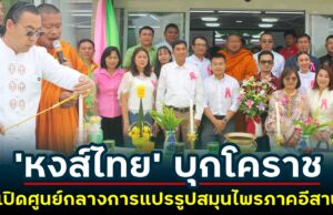 “หงส์ไทย” ปักหมุด อ.โนนสูง เปิดสาขาโคราช ศูนย์กลางการแปรรูปสมุนไพรภาคอีสาน เดินหน้าสร้างโอกาส เสริมเศรษฐกิจชุมชน และคืนชีวิตให้ผืนดินด้วยการปลูกป่า