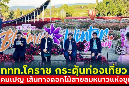 ททท.โคราช เดินหน้ากระตุ้นท่องเที่ยวฤดูหนาว อัดแคมเปญ “Blooming Winter Journey : เส้นทางดอกไม้สายลมหนาวแห่งขุนเขา”
