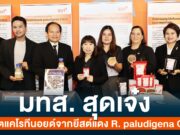 มทส. สุดเจ๋ง ผลิตแคโรทีนอยด์จากยีสต์แดง R. paludigena CM33 ความสำเร็จจากห้องแล็ปสู่อุตสาหกรรมอาหารสัตว์ และใช้ประโยชน์ทางการแพทย์